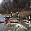 Die Feuerwehr Eigeltingen räumt einen Baum von der Landesstraße 440 in Richtung Heudorf.