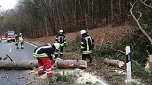 Die Feuerwehr Eigeltingen räumt einen Baum von der Landesstraße 440 in Richtung Heudorf.