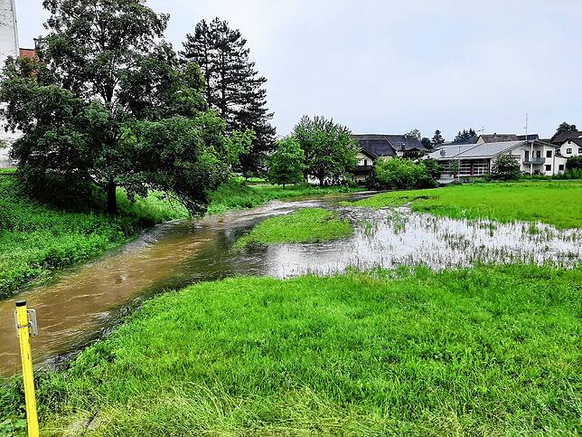 Der Krebsbach in Orsingen trat am ersten Juni-Wochenende über die Ufer.