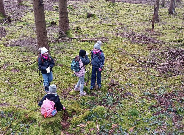 Rund um den Lkw-Parkplatz im Hölzle in Leibertingen durchstreifen die Kinder der Wildensteinschule den Wald auf der Suche nach Müll.