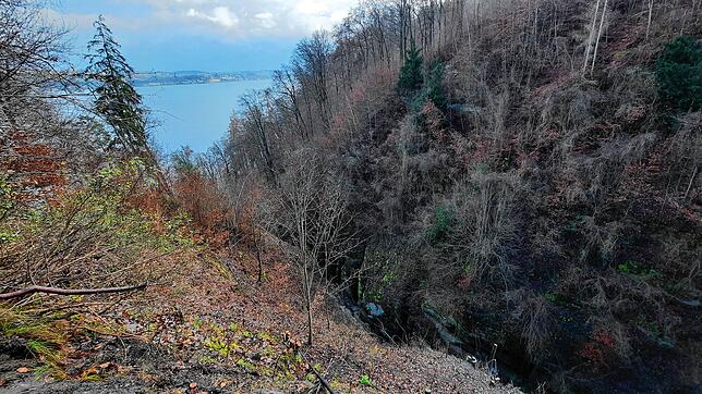 Ab Herbst 2023 sollen Besucher wieder Ausblicke wie diesen genießen können.