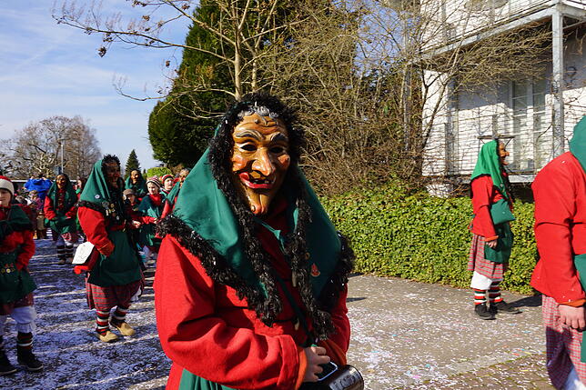 Bild 17: Küssaberger Narrentreffen 2025: Rheinheim feiert Fasnacht