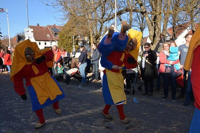 Bild 43: Bilder vom Narrentreffen der Urviecher-Zunft Bad Dürrheim: Großer Festumzug (4)