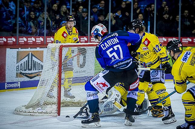 Bild 38: Bilder: Wild Wings vs. Krefeld Pinguine
