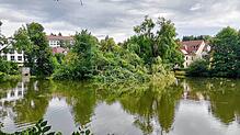 Auf der Stadtseeinsel in Pfullendorf hat der Sturm einige Bäume schwer beschädigt.