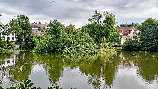 Auf der Stadtseeinsel in Pfullendorf hat der Sturm einige Bäume schwer beschädigt.