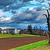 Westlich des Helios-Spitals (im Hintergrund) und angrenzend an die Bebauung der Schreibersbildstraße entsteht das Baugebiet Südlich ...