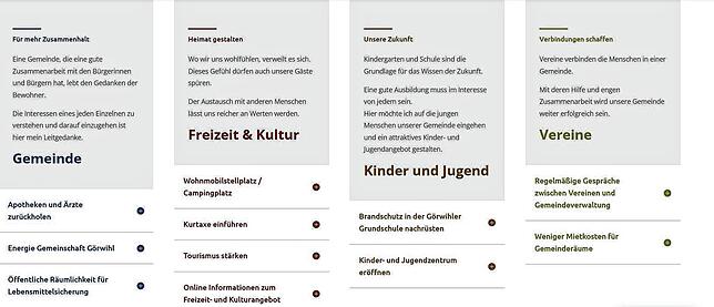 Bild 9: Der virtuelle Wahlkampf: Wie präsentieren sich die Bürgermeisterkandidaten im Internet?