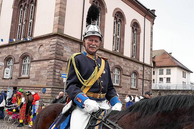 Bild 25: Montags-Umzug der Narrozunft, Teil 1