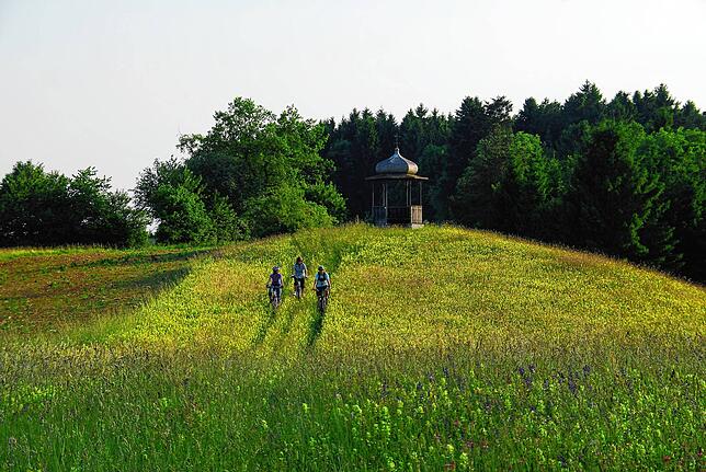 Die Hermannschau ist der Hausberg von Ühlingen und einziger Punkt der Vier-Täler-Gemeinde Ühlingen-Birkendorf auf alle acht Ortsteile.