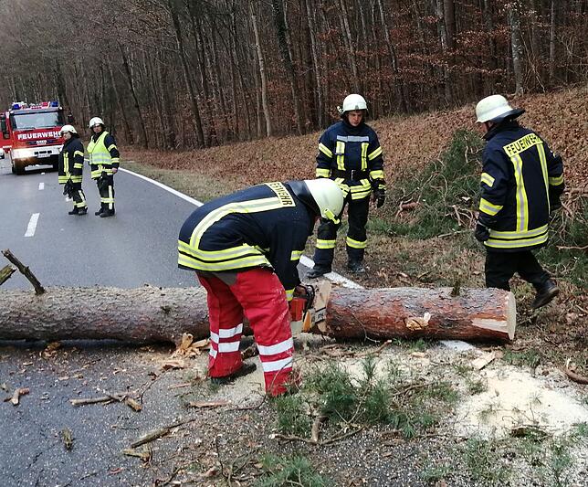 Die Feuerwehr Eigeltingen im Einsatz wegen des Orkantiefs Sabine.