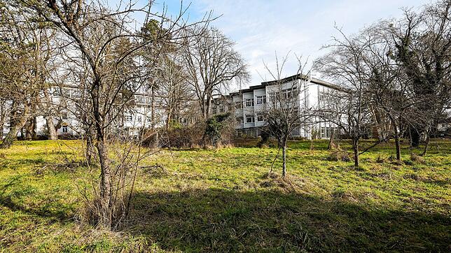 Die Mirabellenwiese neben dem ehemaligen Radolfzeller Krankenhaus soll bebaut werden. Der Bebauungsplan hat nun grünes Licht aus dem ...