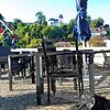 Verkohlte Terrassenmöbel stehen am 16. August auf dem Laufenplatz im Schweizer Laufenburg. Unbekannte haben sie frühmorgens in der nahen ...