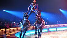 Bild : Circus Krone in Konstanz: Eindrücke vom glanzvollen Premierenabend der Manege – die besten Bilder!