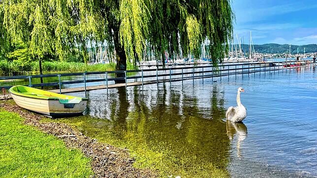 Wo jetzt ein Schwan schimmt, liegen normalerweise Badegäste.