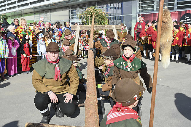 Bild 10: Bilder vom Kinderbaumstellen