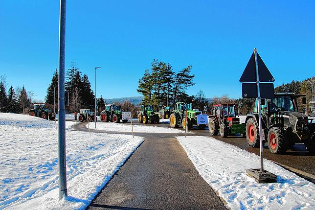 Bild 29: Bauern protestieren gegen Sparpläne: Bilder vom Traktorkorso zur Brauerei Rothaus