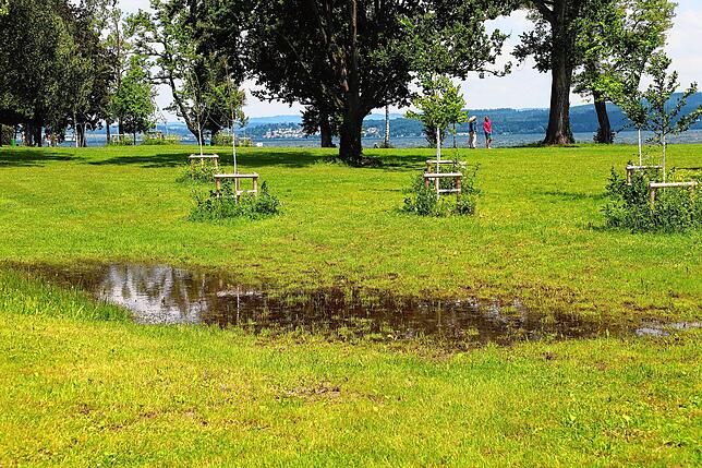 Bild 30: Hochwasser am Bodensee: Wasserstand vor Konstanz erneut über fünf Metern