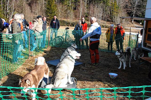 Alles rund um den Schlittenhundesport erfuhren die Besucher im Husky-Camp in Schwarzenbach