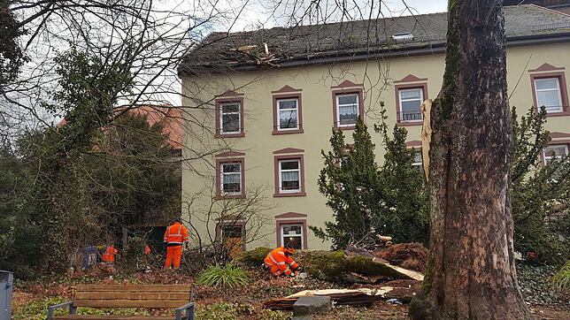 Auf das Gebäude des Villinger Cafés am Riettor ist ein Baum gestürzt, Dach und Dachrinne sind beschädigt. Städtische Mitarbeiter sind ...