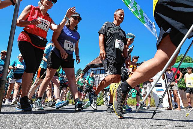 Bild 21: Hier sind die schönsten Bilder vom Schienerberglauf