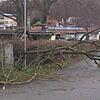 Umgestürzter Baum in der Kindlebildstraße