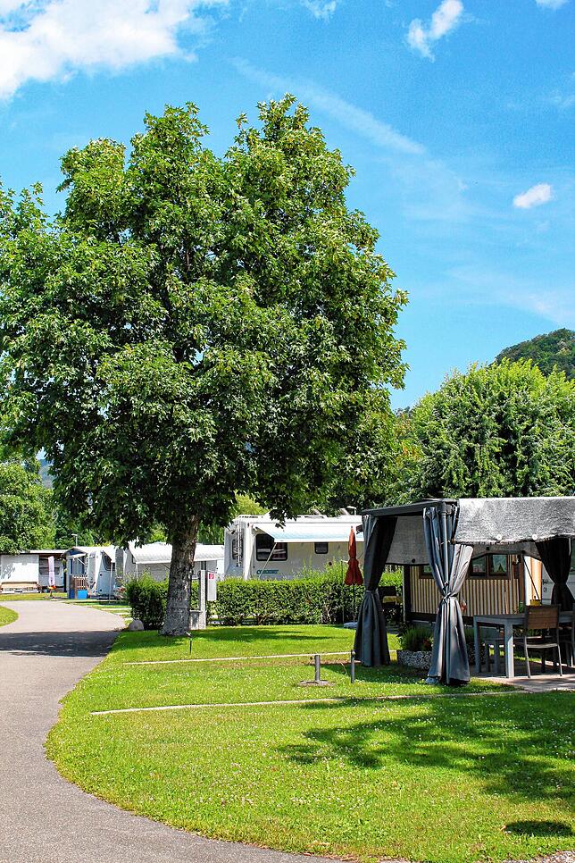 Nur noch wenige Dauercamper gibt es beim Rhein-Camping in Waldshut. Diese Umstrukturierung ist gewollt, da die Nachfrage nach ...