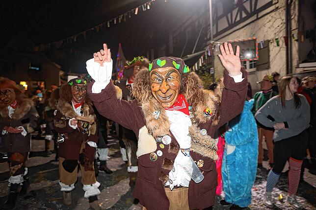 Bild 19: Nachtumzug Möggingen 2025: Fasnacht in Bildern – 30 Gruppen in voller Pracht