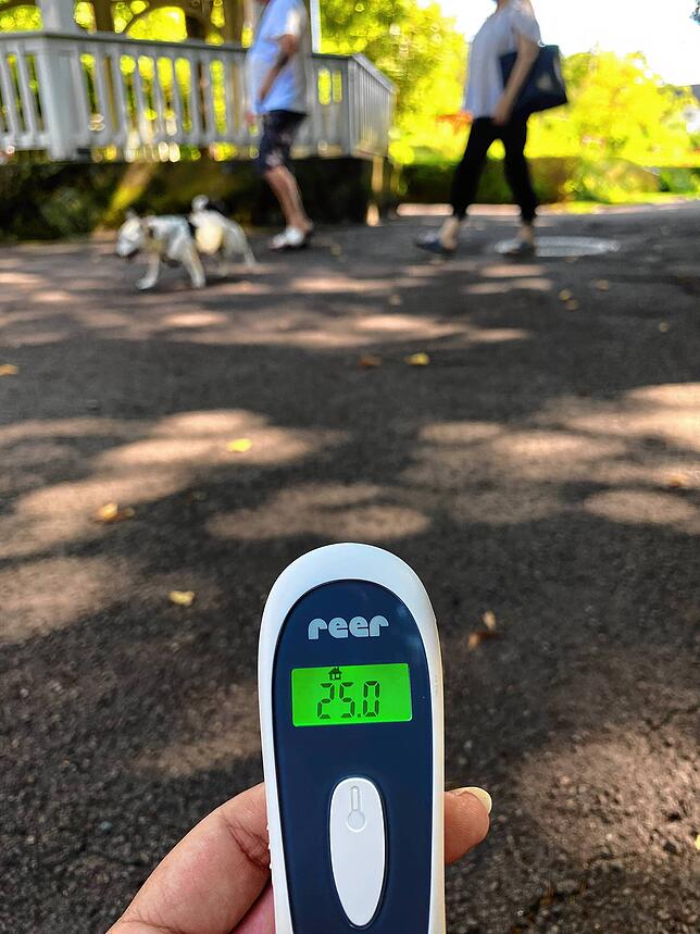 Im Stadtgarten lässt es sich bei 25 Grad durchaus aushalten. Auch für Vierbeiner eine angenehme Temperatur.