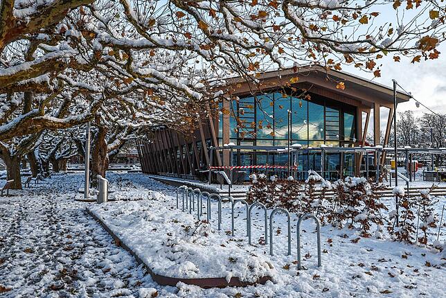 Bild 8: Wintereinbruch in Radolfzell: Die schönsten Bilder vom ersten Schnee