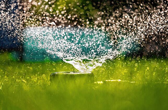 Ein Rasen wird mit Wasser gesprengt (Symbolbild). Falsch eingesetzt kann Wasser den Pflanzen sogar schaden.