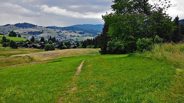 ... derselbe Blick im Jahr 2023. Aufgenommen ist es mit einer Digitalkamera von der Landstraße Richtung Todtmoos aus. Bilder: Museum, ...