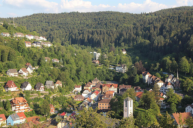 Triberg, Ehrenmal am Kroneck, Sa, 27.7., 14 Uhr: Der idyllisch gelegene Turm und die Krypta des Ehrenmals wird auch 2019 immer samstags ...