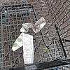 Einkaufswagen auf dem Parkplatz eines Supermarktes.