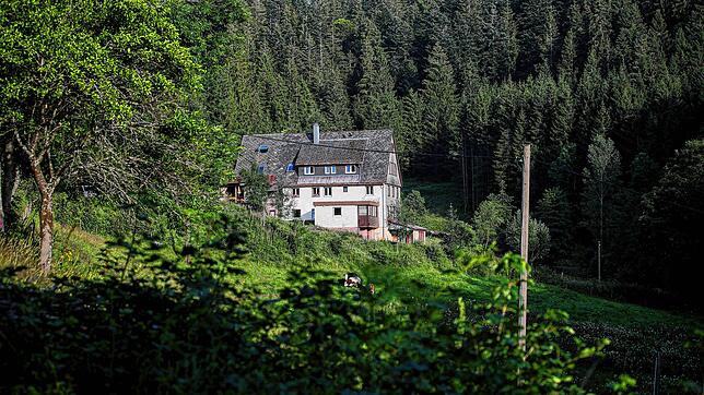 Im Hübschental in Gütenbach zündet der Brandstifter im August 2023 einen Carport und eine Gartenhütte an. Nun ist er vom Landgericht ...
