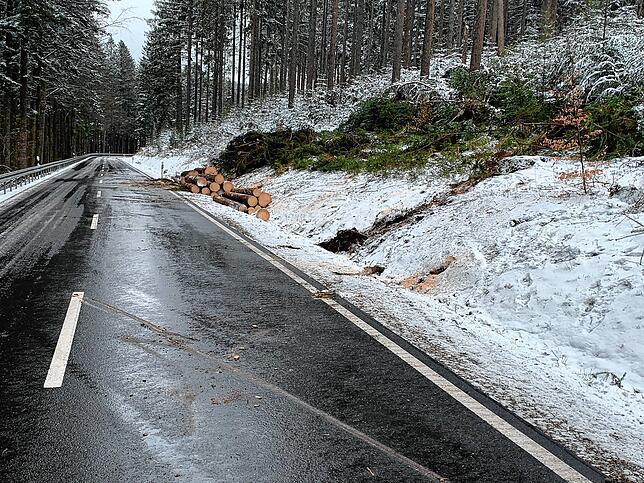 Als die Straße bei Unterkirnach gesperrt war, nutzte das Forstamt die Gelegenheit, um das Holz dort wegzubringen.