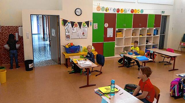 Auch die Erstklässler der Grundschule Riedöschingen freuen sich, dass für sie der Unterricht in der Schule wieder beginnt. Bilder: ...