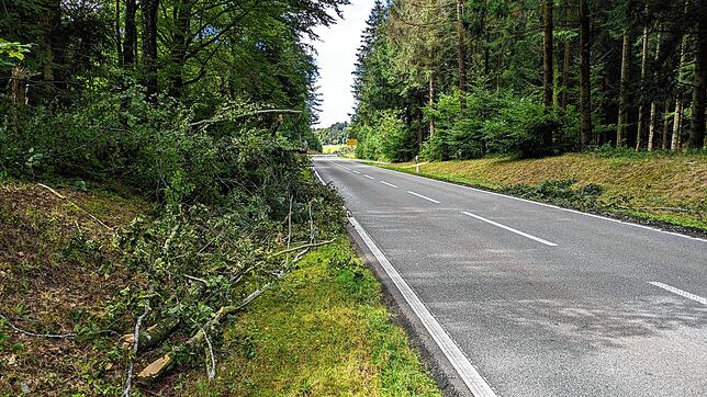 Überreste von frischgebrochenen Ästen und Bäumen liegen an der Kreisstraße nach Mindersdorf.