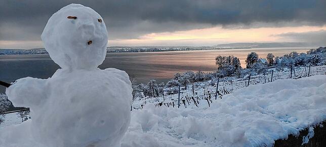 Bild 23: Was für ein Wintereinbruch am Bodensee: Die schönsten Schnee-Bilder vom Wochenende