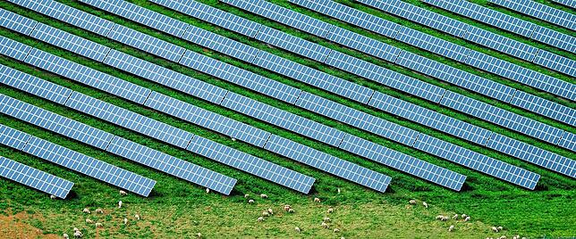 Schafe grasen neben einem großen Feld mit Solaranlagen. Oft geht landwirtschaftlicher Nutzen mit der Energieernte einher.