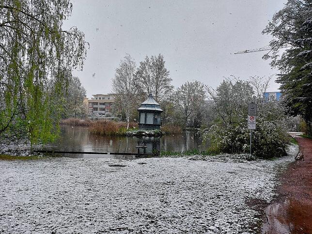 Der Eisweiher mit dem Pavillon ist trüben Wintergrau.