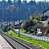 Die S9 verkehrt auf Lottstetter Gebiet auf nur einem Gleis. Die SBB plant den Doppelspurausbau und den durchgängigen Halbstundentakt.