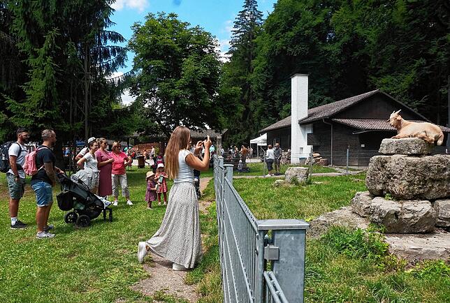 Bild 16: Alle Bilder: 50 Jahre Wildgehege Waldshut &ndash; Teil Zwei