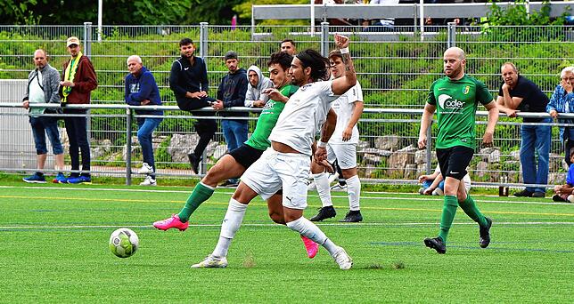 Bild 6: SV Herten besiegt den VfB Waldshut mit 3:0 &ndash; und wir haben die Bilder!