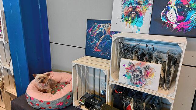 Bild 11: Bei der Messe &bdquo;Mein Hund&ldquo; schwingen Vier- und Zweibeiner gemeinsam das Tanzbein &ndash; Mit Video!