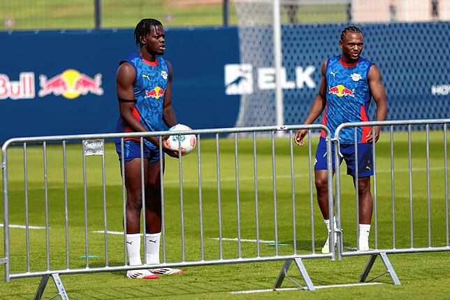 Bild 7: Erstes Training von RB Leipzig beim SV Aasen – wir haben Fotos!