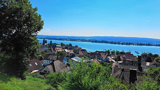 Am Horizont ist die Insel Reichenau erkennbar.
