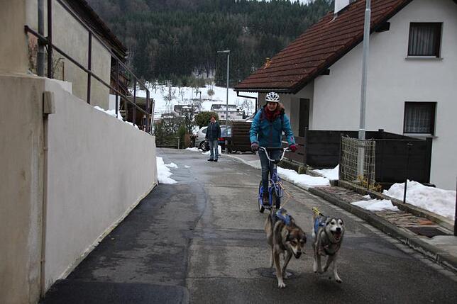 Stühlingen-Weizen: Die Bewohner von Weizen sehen Jessica Paulsen und ihre schnellen Hunde bis zu viermal wöchentlich in der kalten ...