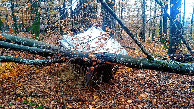 Massiver Schaden: Im Gehege des Sika-Wilds ist ein Baum auf die fast noch neue Futterkrippe gefallen.