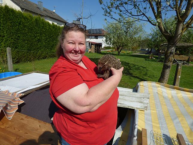 Helga Weißkopf, hier mit Igel Fipsi, hat ein großes Herz für die Tiere. Die Ahauserin kümmert sich um jeden Igel, egal wie unterernährt, ...